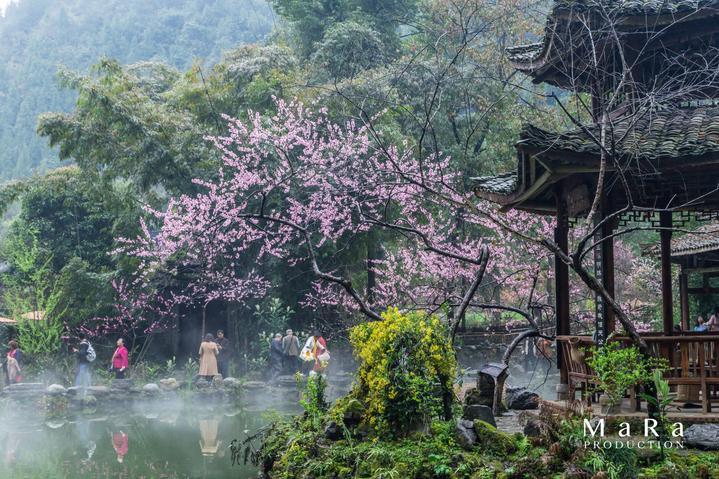公主的夏季舞会
